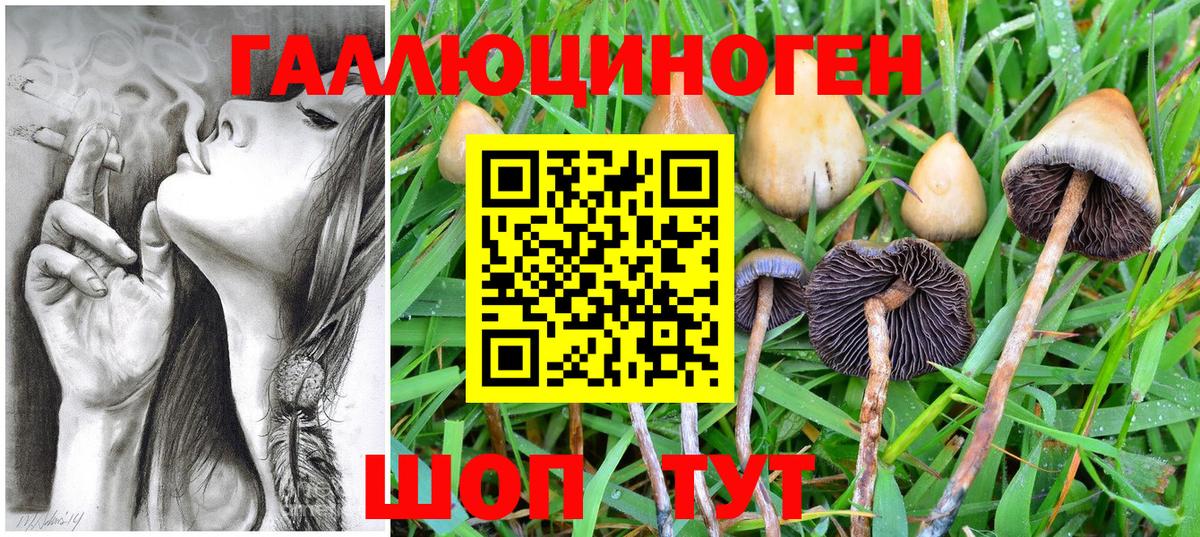 Псилоцибиновые грибы мицелий  Вход с VPN  Медногорск 